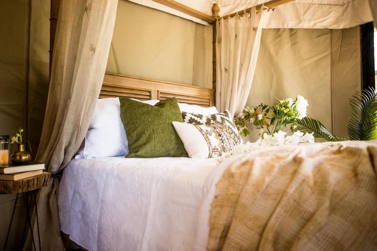 Orchard Valley Glamping Отороганга Екстер'єр фото